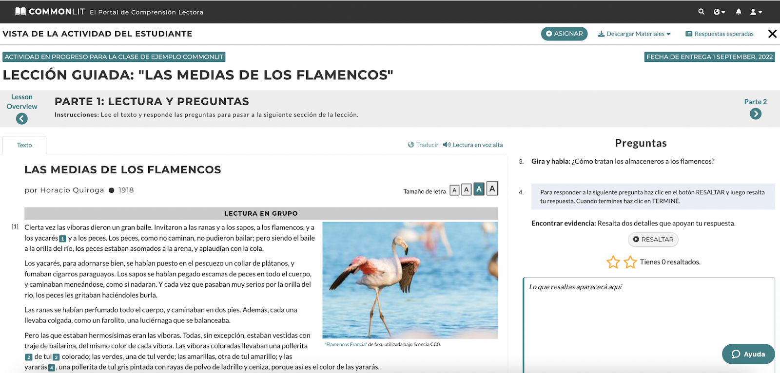 A screenshot of a Lección guiada for the text "Las medias de los flamencos."